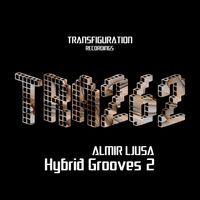 Almir Ljusa - Hybrid Grooves 2