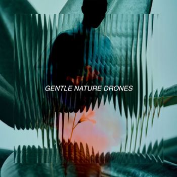 Various Artists - Gentle Nature Drones
