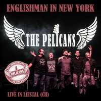 The Pelicans - Englishman in New York (Live)