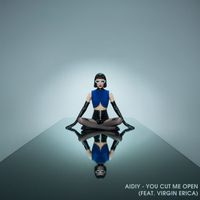 AIDIY feat. Virgin Erica - You Cut Me Open