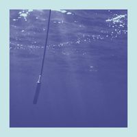 Rone - La Baleine et Le Musicien (Edit)