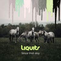 Liquits - Since That Day
