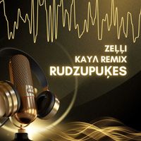 Zeļļi - Rudzupuķes (KAYΛ Remix)