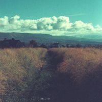 Glenn Natale - Long Quiet Path