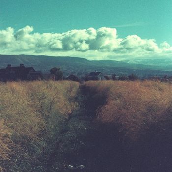 Glenn Natale - Long Quiet Path