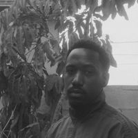 Willis - Nightingale