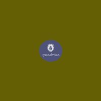 Circuito Zeta - Parallel Appositive