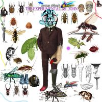 Thomas Röhnelt - The Experimental Dr. John