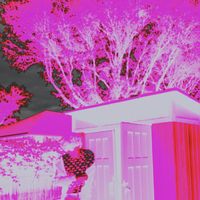 samii - skin2skin (Explicit)