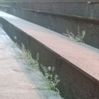 JULIAN - Aku minta serius