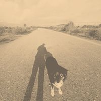 Broken Lip - Memory Dealer