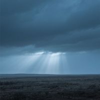 picky - ashes in slow motiom