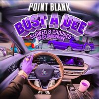 POINT BLANK - Bust a Uee (Slowed & Chopped)