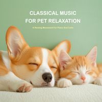 Cool Music - Classical Music For Pet Relaxation : A Resting Movement For Piano And Cello