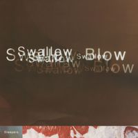 Swallow - Sleepers