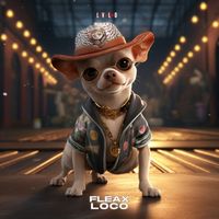 Fleax - Loco