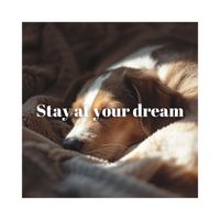 KIKO - Stay at your dream