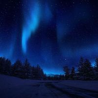 Kiko - Sky Full of Stars