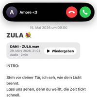 Dani - Zula