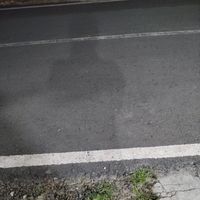 laura - tatapan palsu