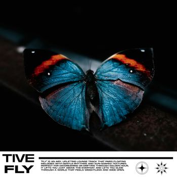Tive - Fly