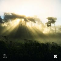 aiden - Anima