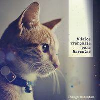 Thiago Mascotas - Música Tranquila para Mascotas
