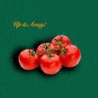 Stoic - UP & AWAY! (Explicit)
