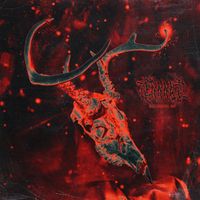 Dhany - GEHENNA (Explicit)