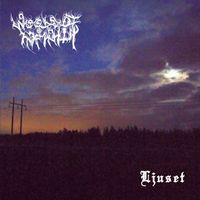 Woods of Infinity - Ljuset