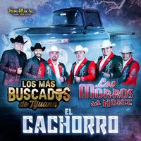Los Morros del Norte & Los Mas Buscados De Tijuana - El Cachorro