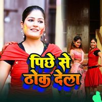 Anil - Pichhe Se Thok Dela