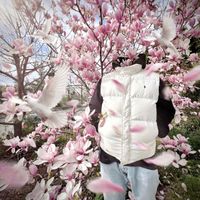 Loga - BÍLÝ HOLUBICE (Explicit)