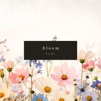 YuMe - Bloom