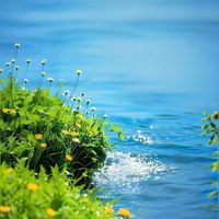 兰秋月 - 钢琴曲纯音乐 舒缓放松轻音乐 减压背景音乐