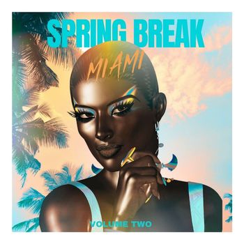 Various Artists - Spring Break Miami - Volume Two