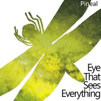 PiNeal - Eye That Sees Everything