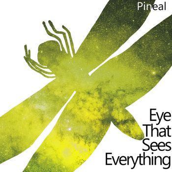 PiNeal - Eye That Sees Everything