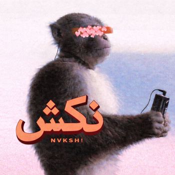 FARES - NVKSH !