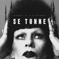Honey B. & T-Bones - Se tunne