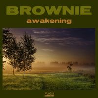 BROWNIE - awakening