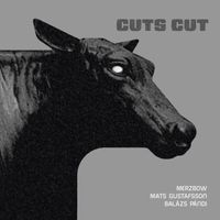 Merzbow, Mats Gustafsson, Balázs Pándi - CUTS CUT