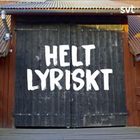 Ola Salo - Död amazon