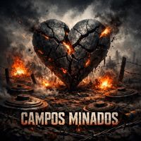 Fabiano David - Campos Minados