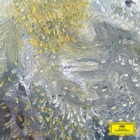 Snorri Hallgrímsson - The White Blur Was a Fox (Nowhere Sessions)