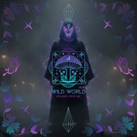 MagicMan - Wild World