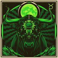 Dirtwire - Taurus