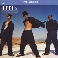 IMx - Introducing IMx