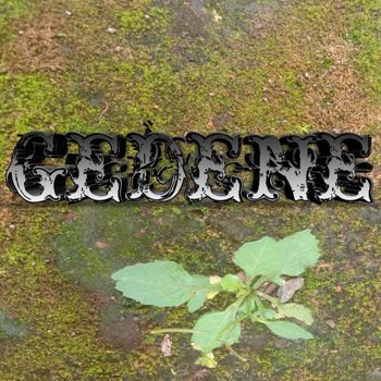 Condro - Gedene