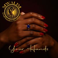 Mwalim DaPhunkee Professor - Your Hands